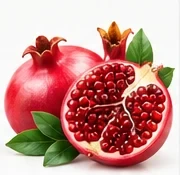 Pomegranate ingredient illustration